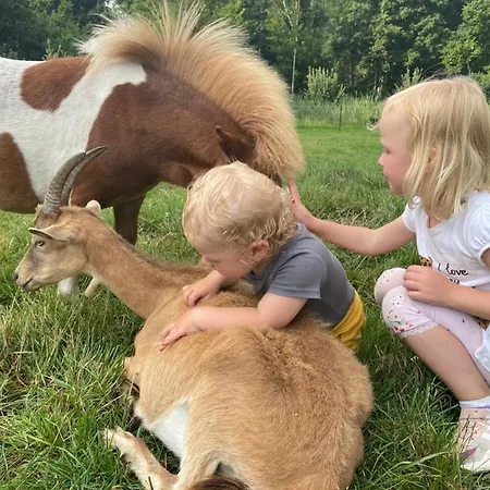 Poppes Ranch Bauerhof & Campingplaetze Zepelin