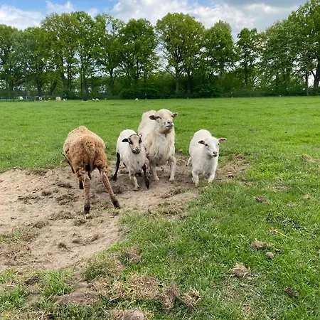 Poppes Ranch Bauerhof & Campingplaetze *
