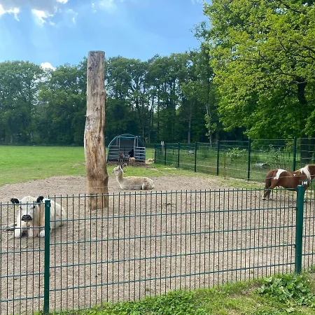 Holiday home Poppes Ranch Bauerhof & Campingplaetze Zepelin