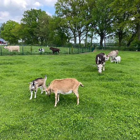 Poppes Ranch Bauerhof & Campingplaetze Zepelin